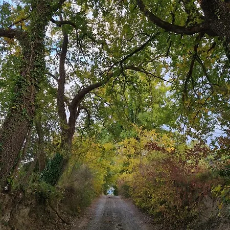 Country In Tuscany * Colle Val D'Elsa