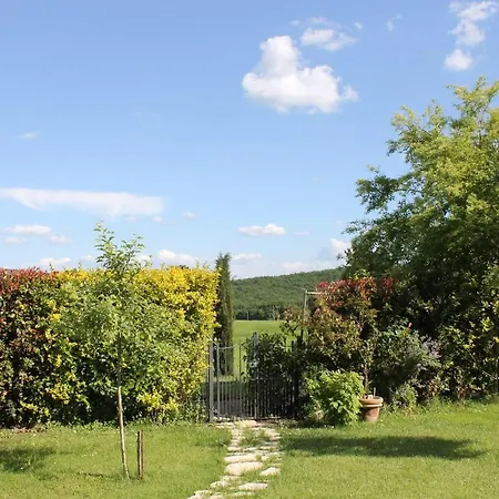 Country In Tuscany